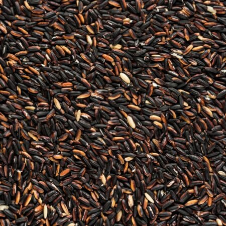 Forbidden Black  Rice