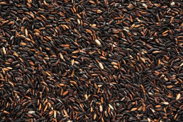 Forbidden Black  Rice