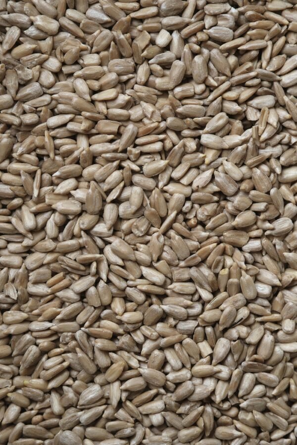 Sunflower Seeds